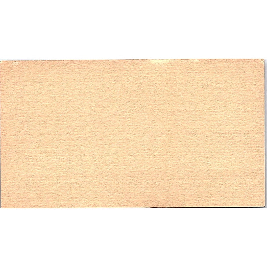 Strictly Business Personnel Agency Linda Staley Irvine CA Business Card SF3-B7