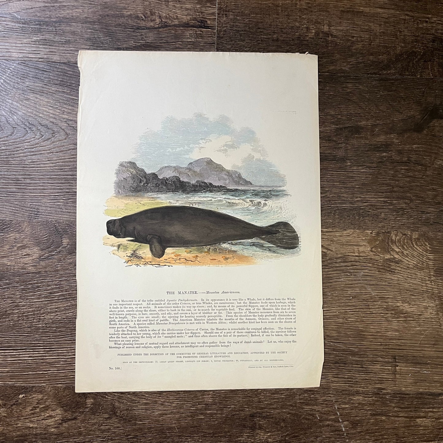 1843 The Manatee Engraving Society for Promoting Christian Knowledge 11x15 V3