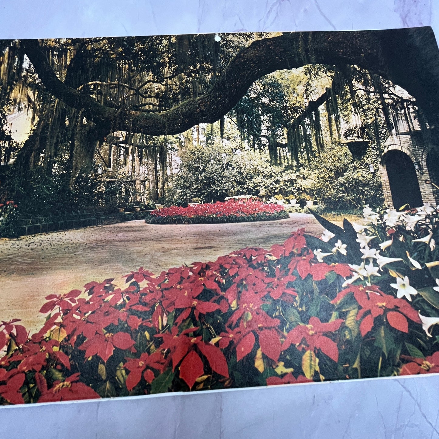 Bellingrath Gardens, Mobile, Alabama Lithograph 10x14" Art Print V22