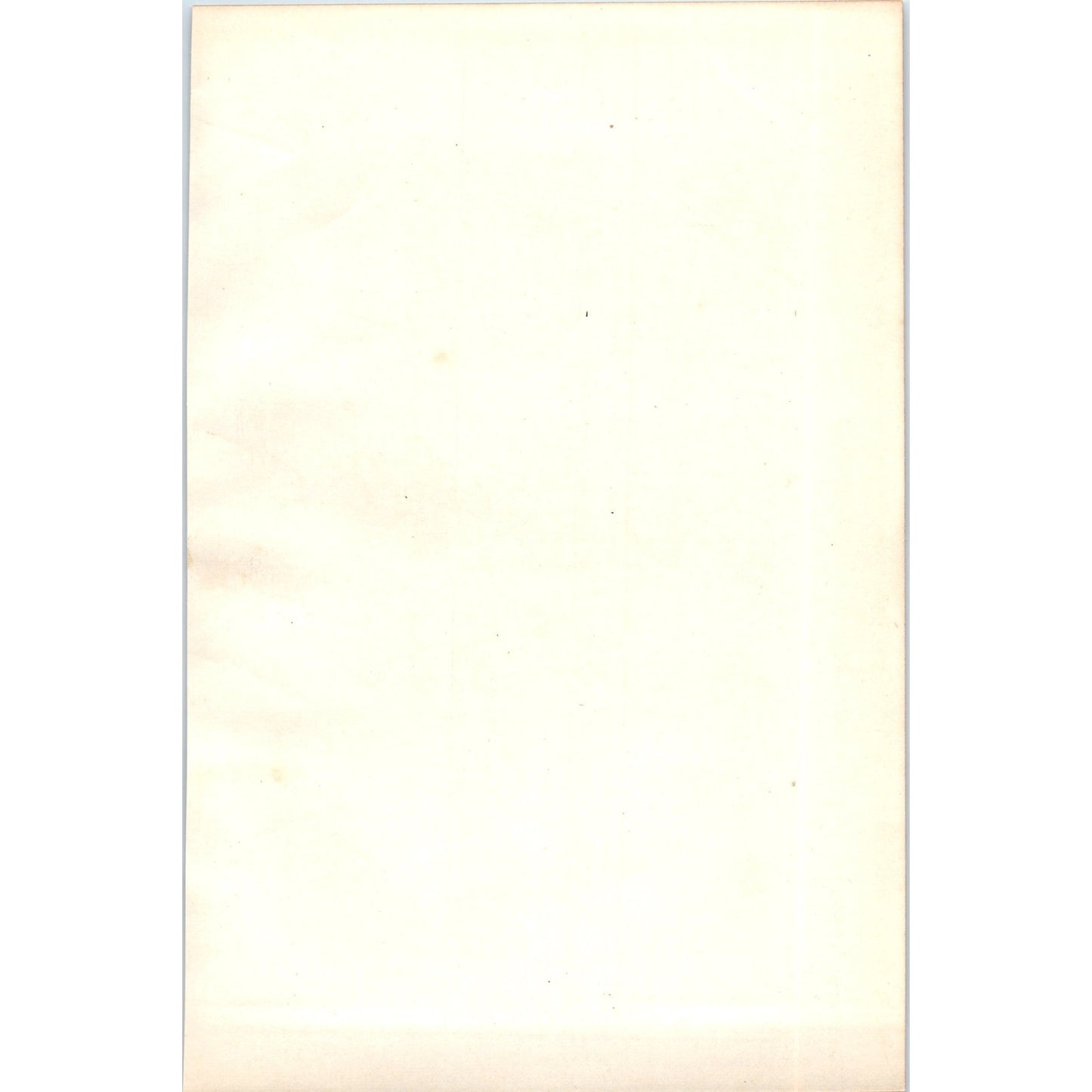 Brambling Bird 1903 Original Color Engraving Plate Print AD8-B8