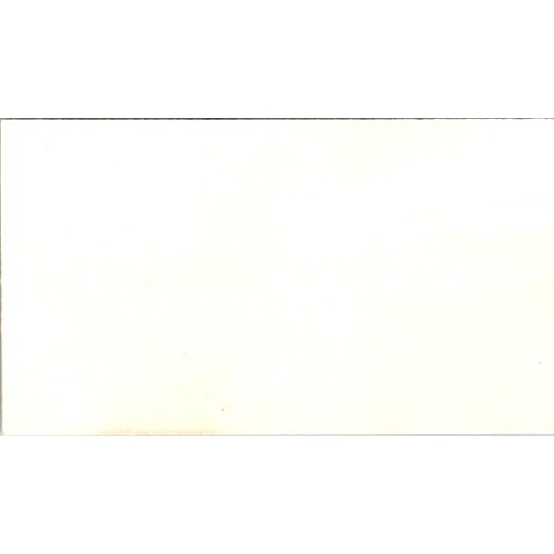 The Towel and Tog Shop Inc Lake Park Valdosta GA Business Card AI9-M28