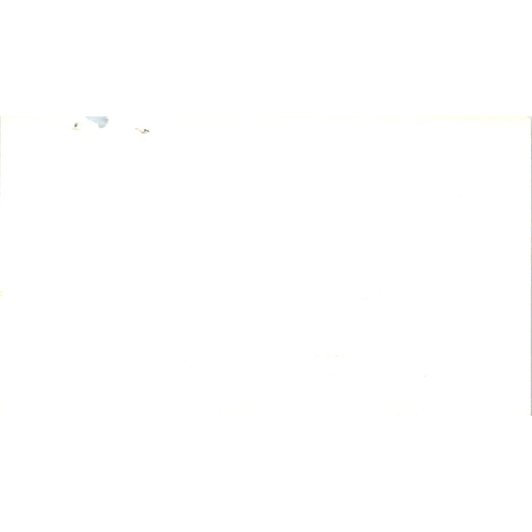 Lorraine Esteck ADP Automatic Data Processing Houston Vtg Business Card SD8-B16