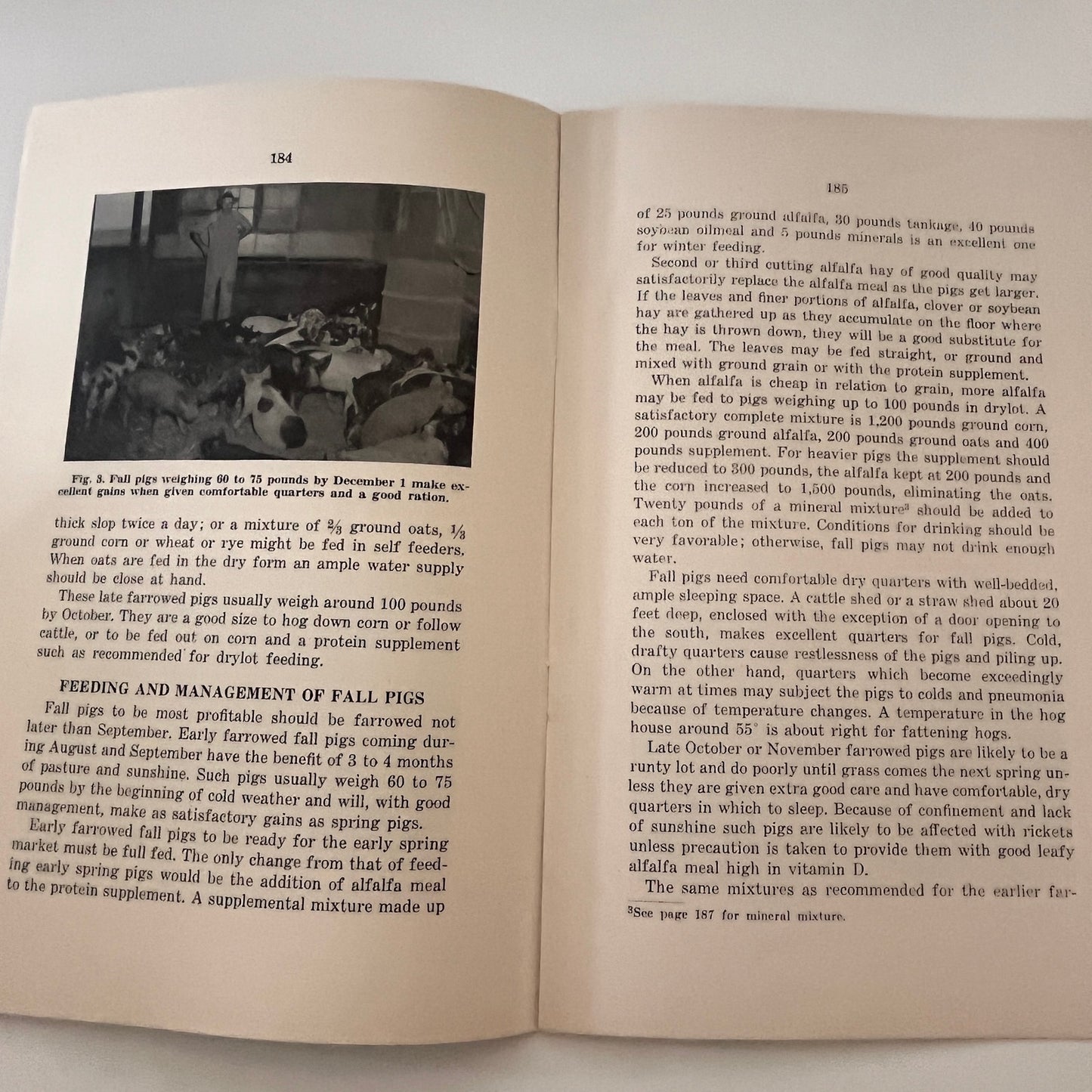 Market Hog Feeding and Management 1947 Ames IA Farm Bulletin TK2-XB5