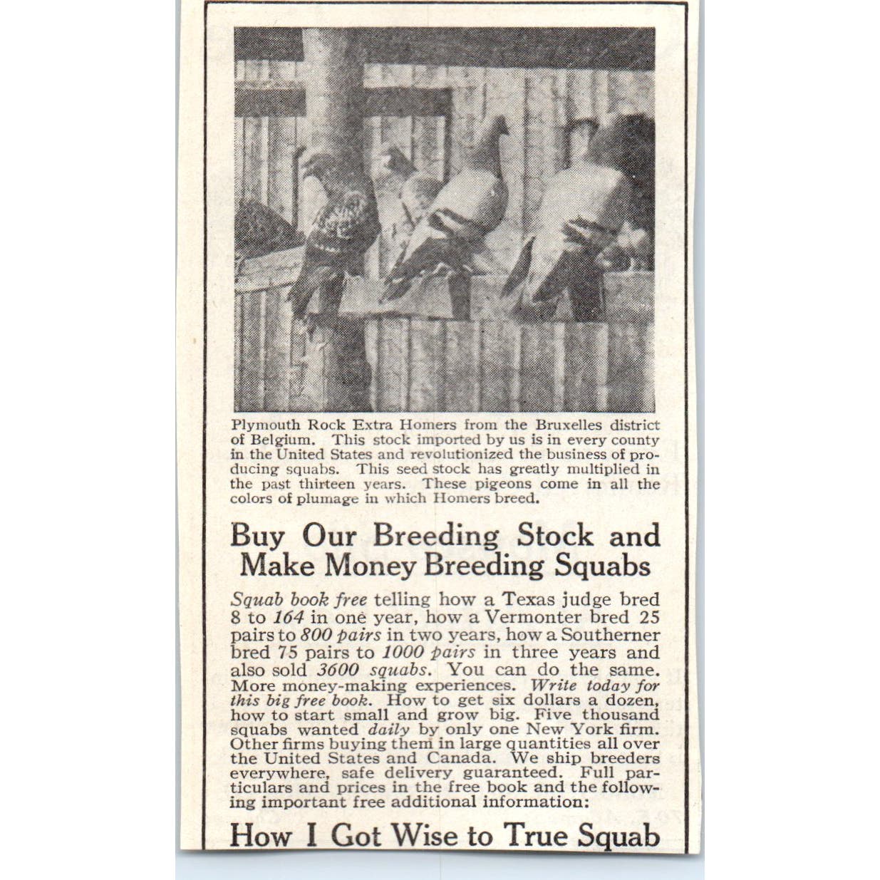 Monolithic Silo & Construction Co Chicago 1913 Magazine Advertisement AE7-N7