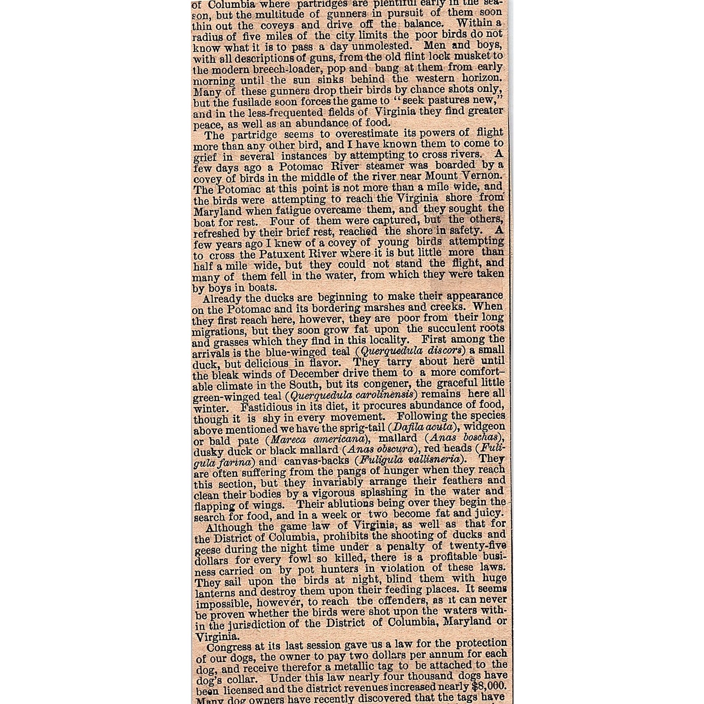 Short Lessons in Woodcraft Syilline Leaves 1878 Article AG2-7