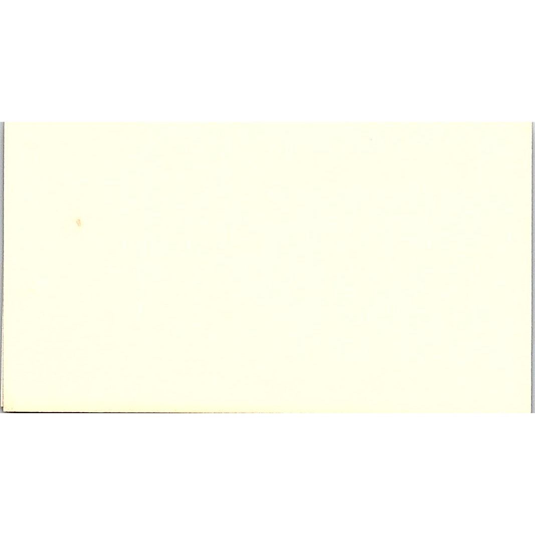 Cruisin' Mobilube Bill Hanam Sacramento Vintage Business Card SD9-B14