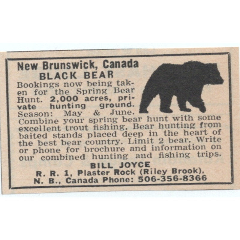 New Brunswick Canada Black Bear Hunting Bill Joyce Plaster Rock 1977 Ad AF6-M4
