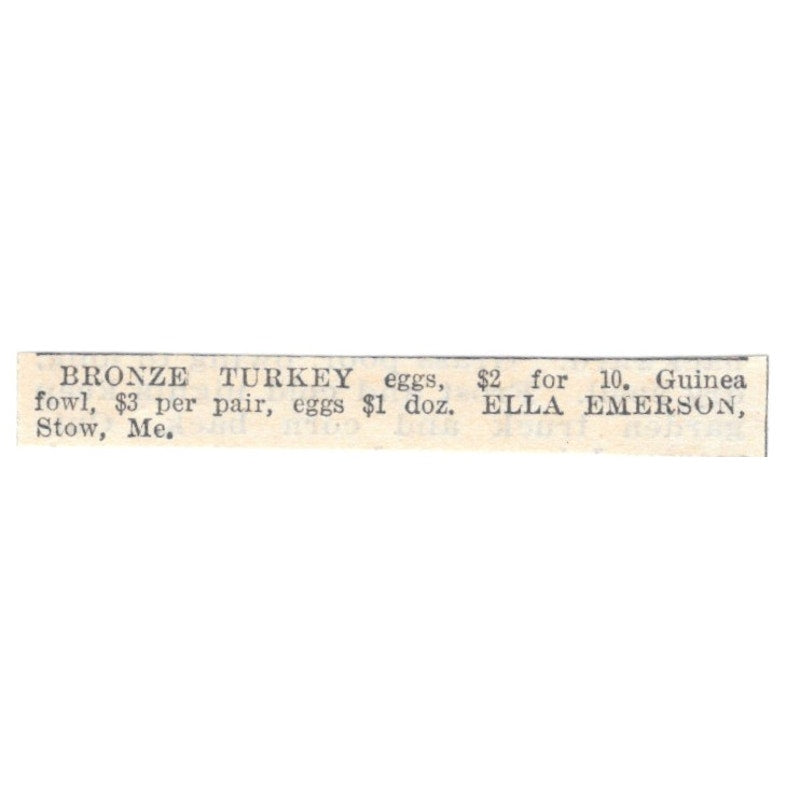 Bronze Turkey Eggs Ella Emerson Stowe ME 1905 Magazine Ad AF1-NES1