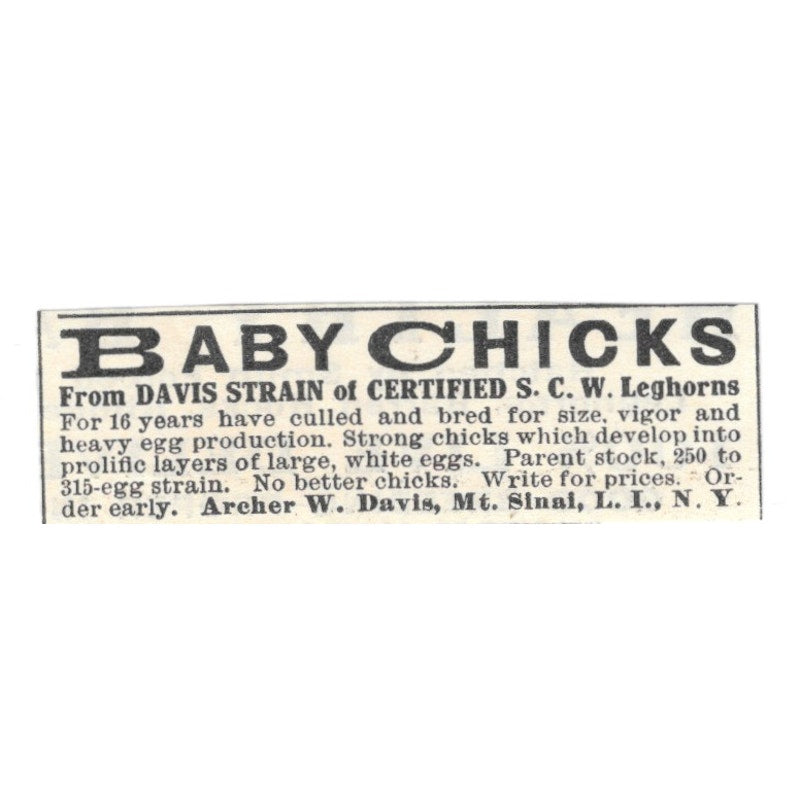 Archer W. Davis Baby Chicks Mt. Sinai Long Island NY 1924 Ad AG3-S5