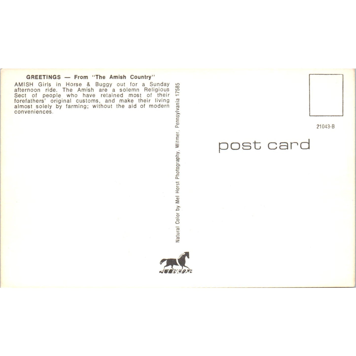 Amish Girls in Horse & Buggy Pennsylvania Dutch Country Vintage Postcard PD5