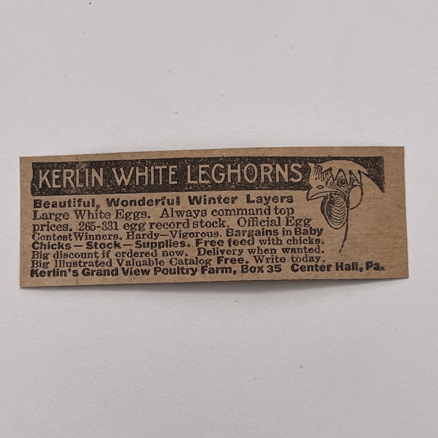 Kerlin's Grand View Poultry Farm White Leghorns Center Hall PA 1926 Ad AG3-S1
