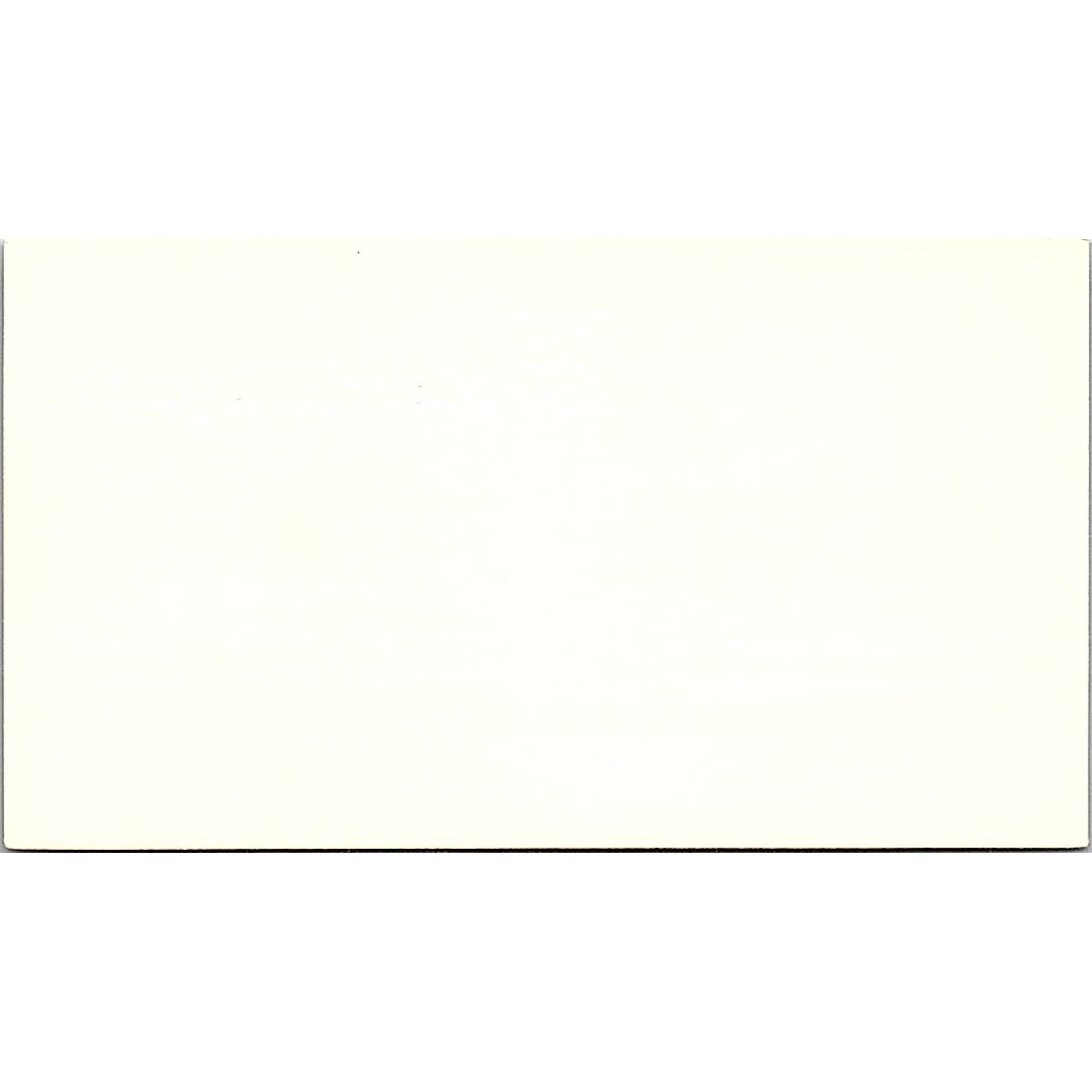 Merrill Lynch Richard D Niemann Houston Texas Vintage Business Card SB4-B1