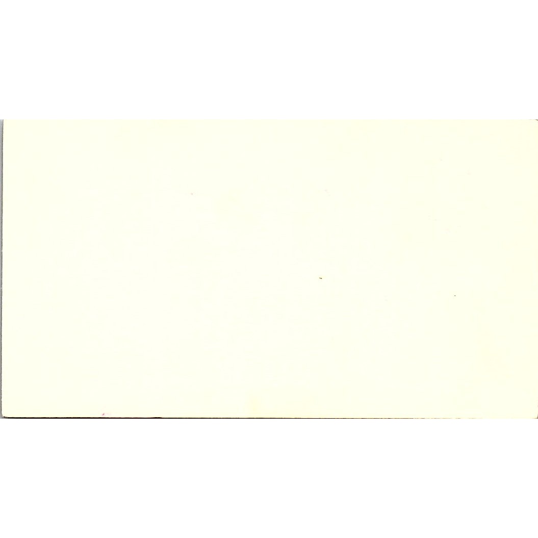 Roselani Boutique Women's Apparel Buena Park CA Vintage Business Card SE5-B5