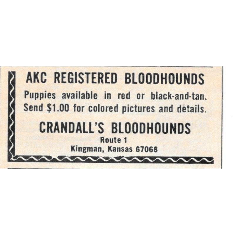 Crandall's AKC Registered Bloodhounds Kingman KS 1977 Ad AF6-S1