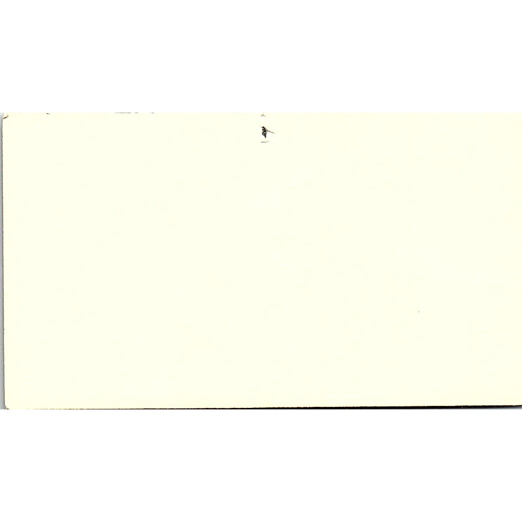 Elaine's Alteration Shop Houston TX Vintage Business Card SSB4-B12