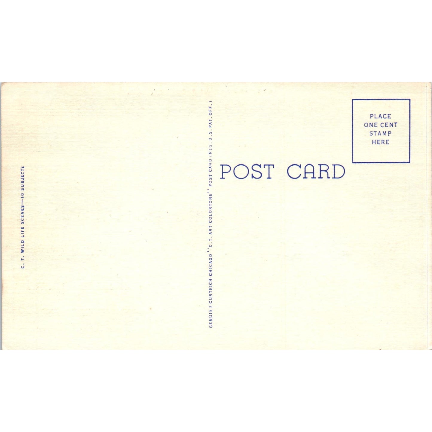 Parkston South Dakota Greetings Pheasants Vintage Postcard PC8