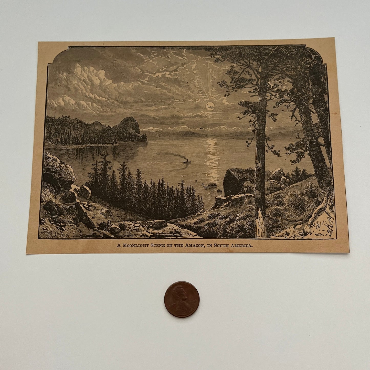 A Moonlight Scene on the Amazon, in South America 1894 Art Engraving SAG4-8