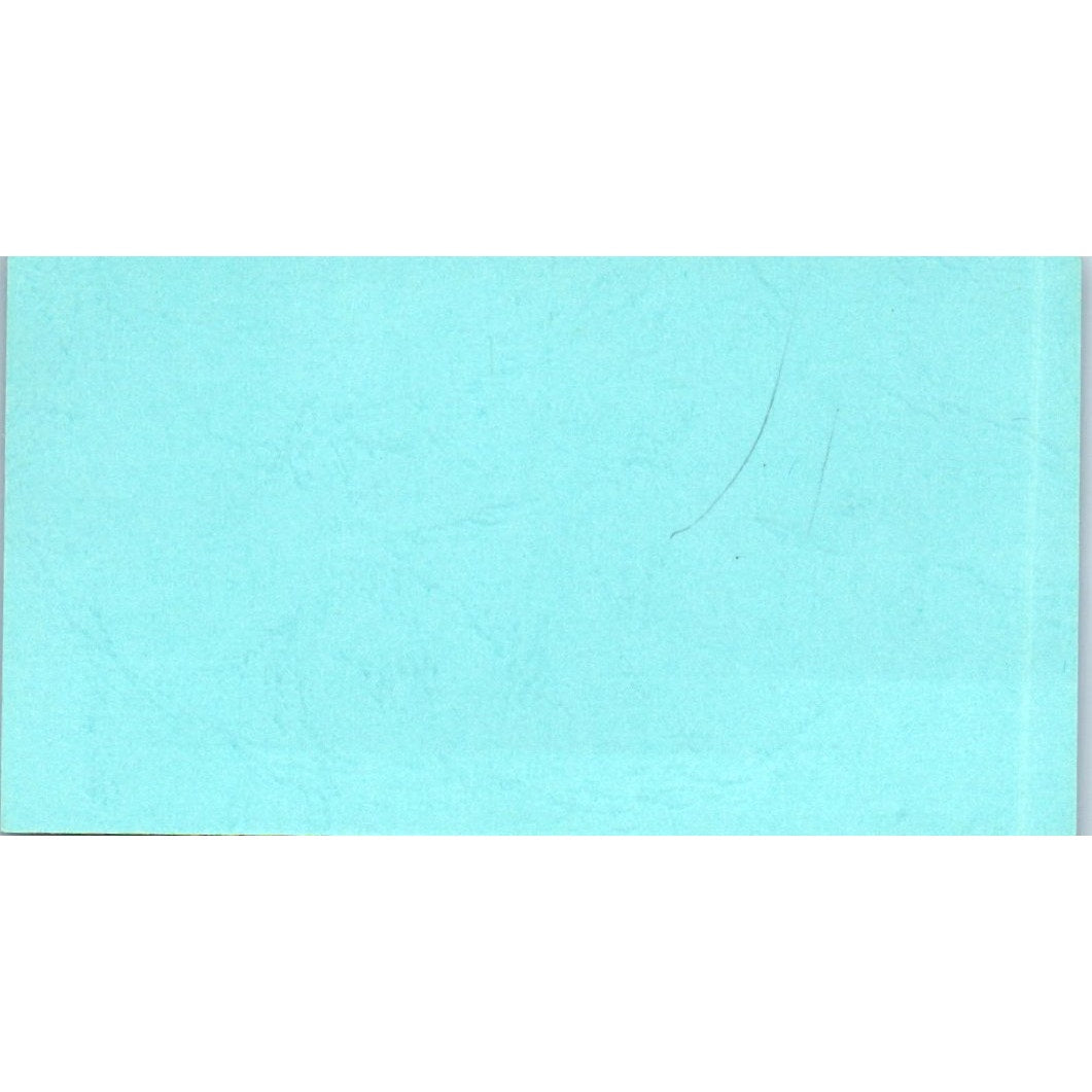 Helen's Salon and Boutique Inc Houston TX Amelia Vintage Business Card SD8-B11