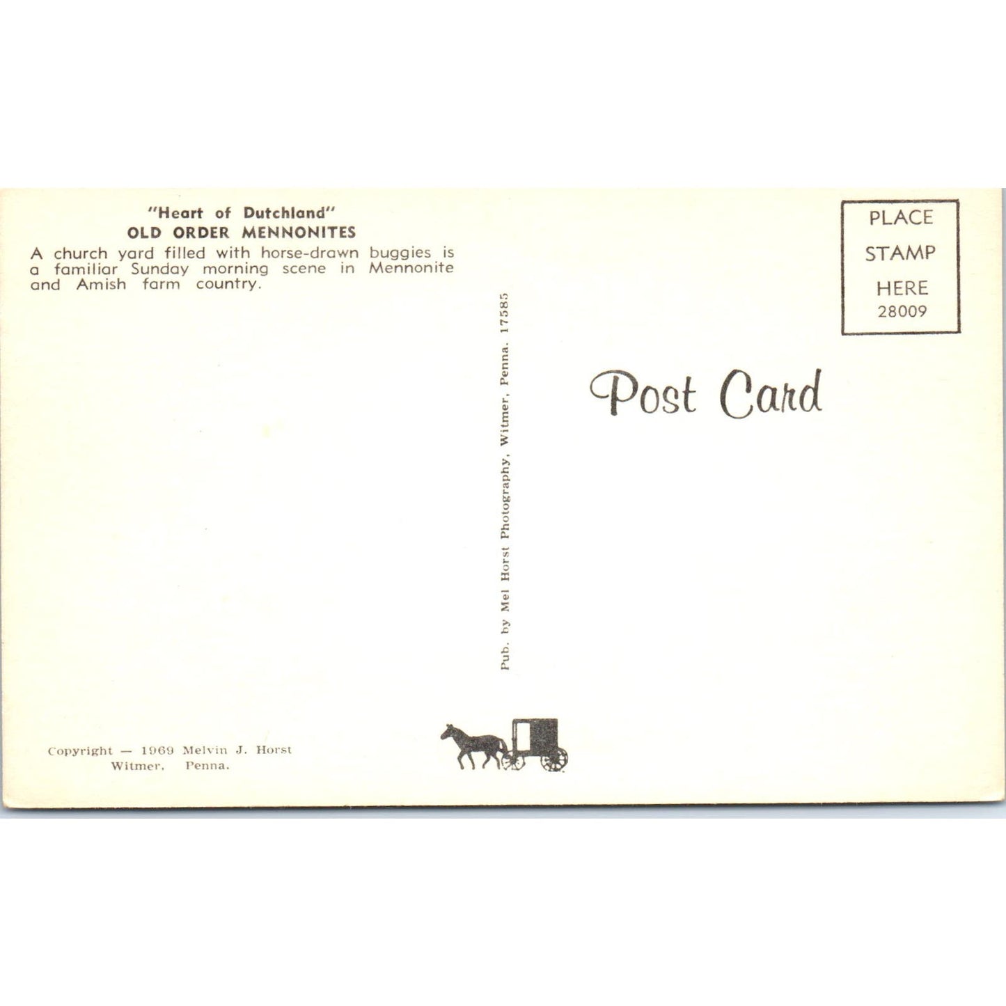 Old Order of Mennonites Church Yard PA Dutch Country Vintage Postcard PD4