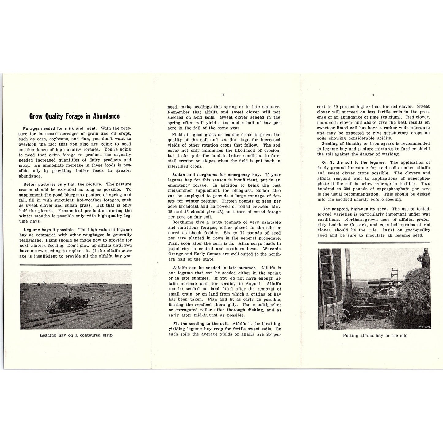 Grow Quality Forage in Abundance 1942 Ames Iowa Farming Vintage Brochure AG5-H6