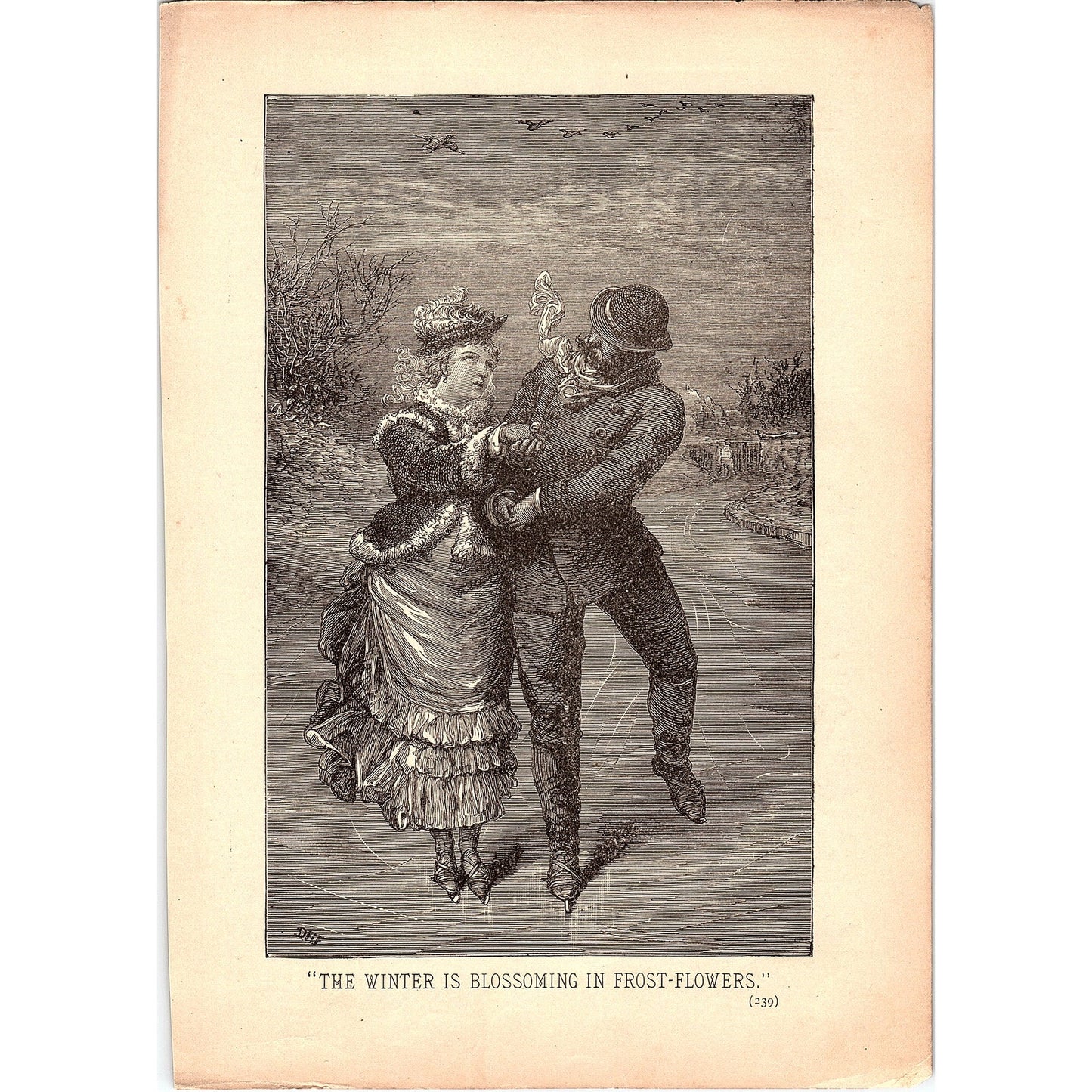 Ice Skating - Winter is Blossoming in the Frost-Flowers 1884 Engraving TA5-CJ-1