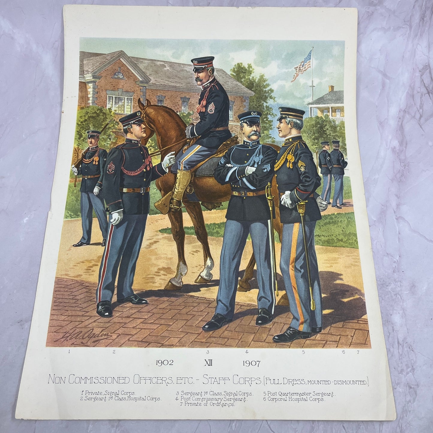Non Commissioned Officers Staff Corps c1910 H.A. Ogden Lithograph 12x16" V14-8
