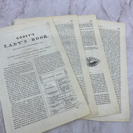 1857 Original Article Lapidary Work by C.T. Hinckley D19