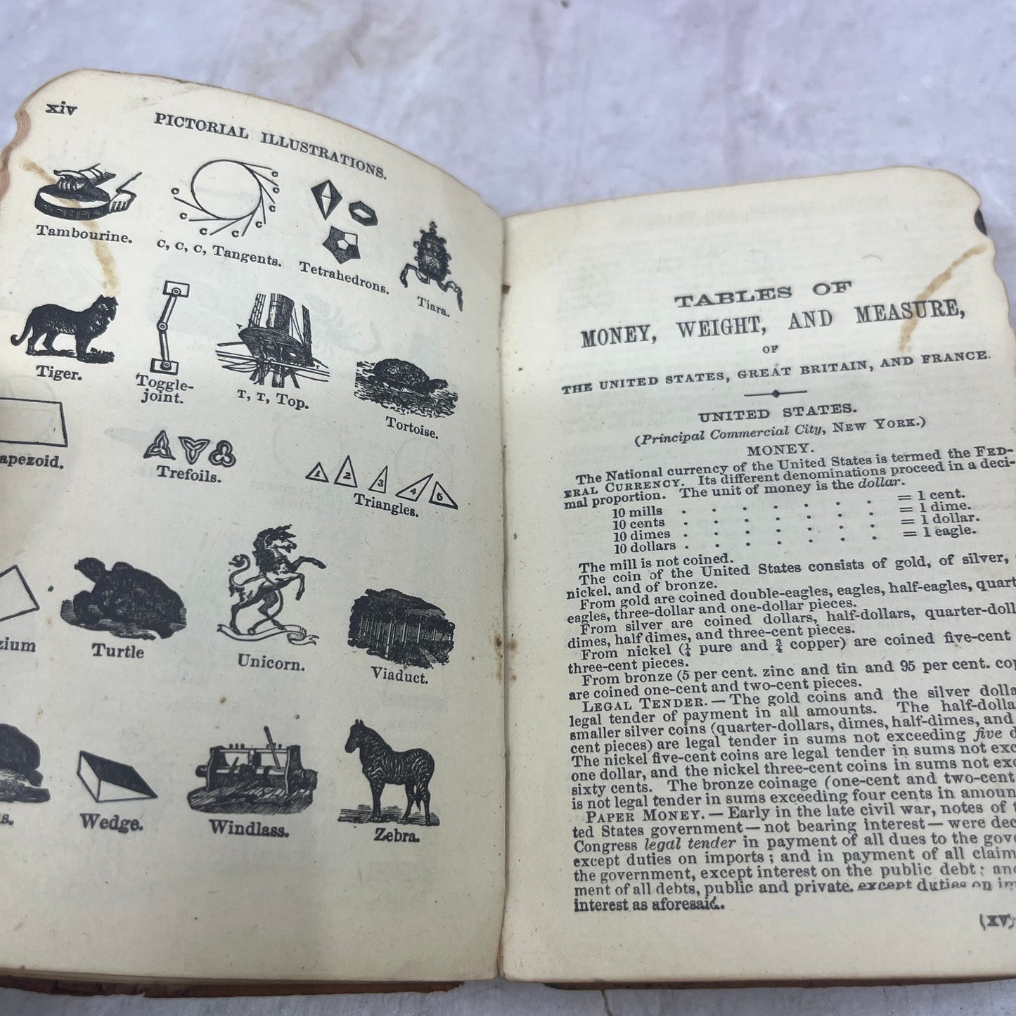 1870 Webster's Pocket Dictionary TJ8-OB