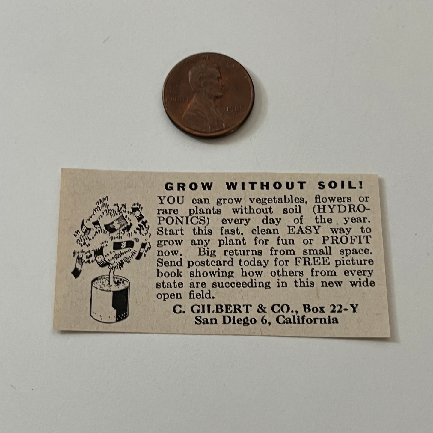 C. Gilbert & Co. Grow Without Soil San Diego CA 1952 Yankee Magazine Ad SAG5-S3