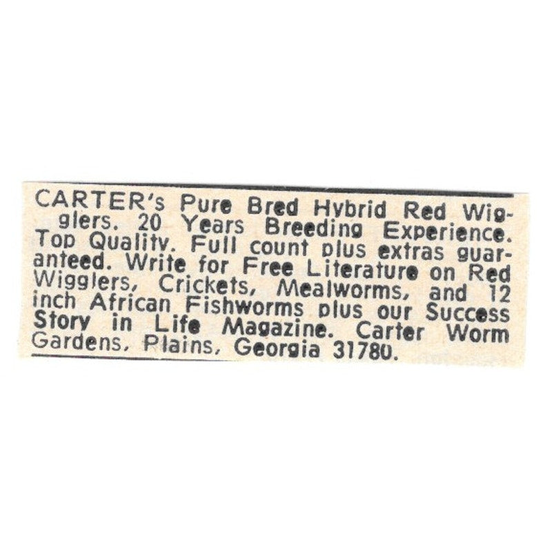 Carter Worm Gardens Red Wigglers Plains GA 1977 Ad AF6-S7