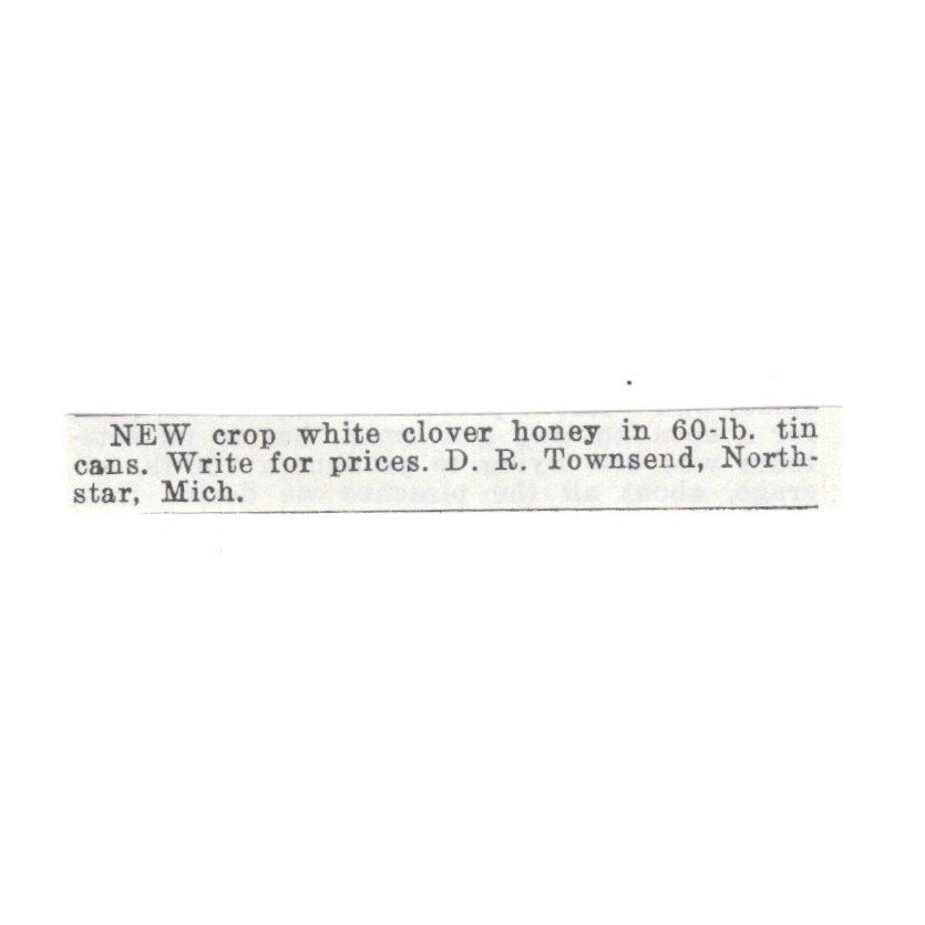 D.R. Townsend White Clover Honey North Star Michigan 1926 Ad AG3-S20