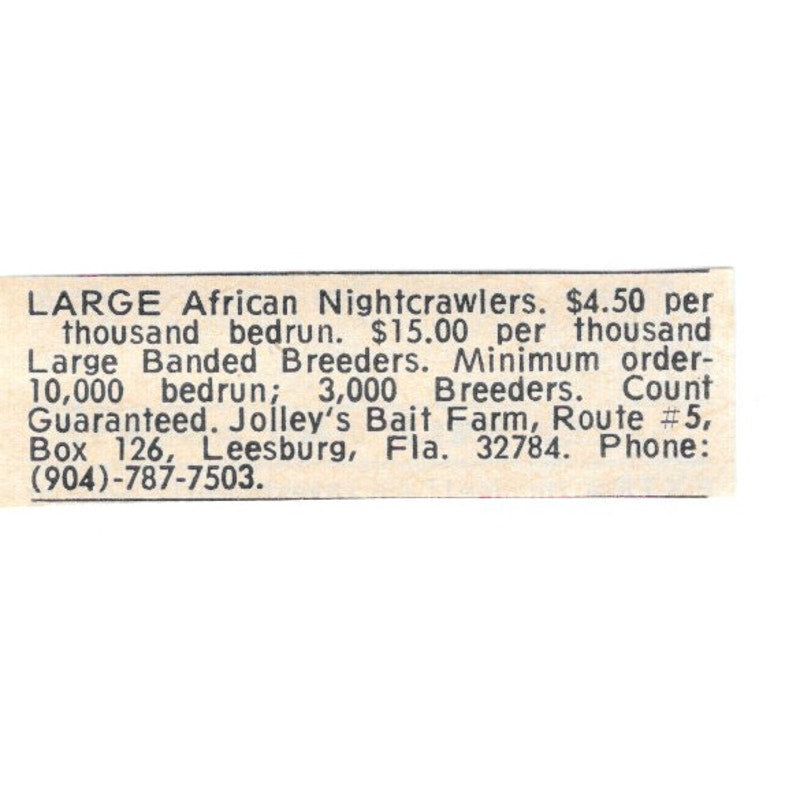 Large African Nightcrawlers Jolley's Bait Farm Leesburg FL 1977 Ad AF6-S5