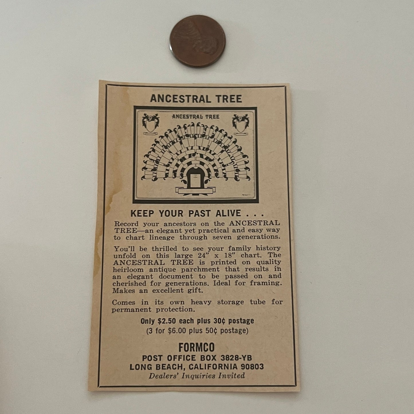 Formco Ancestral Tree Long Beach CA 1971 Magazine Ad SAG4-M2