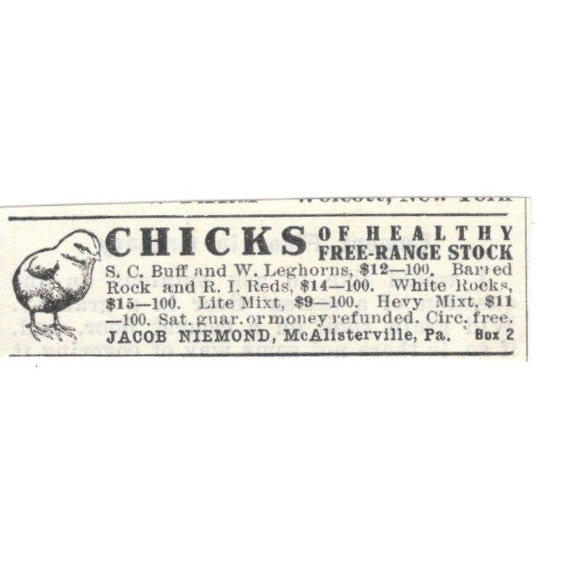 Jacob Niemond Chicks McAlisterville PA 1924 Ad AG3-S9