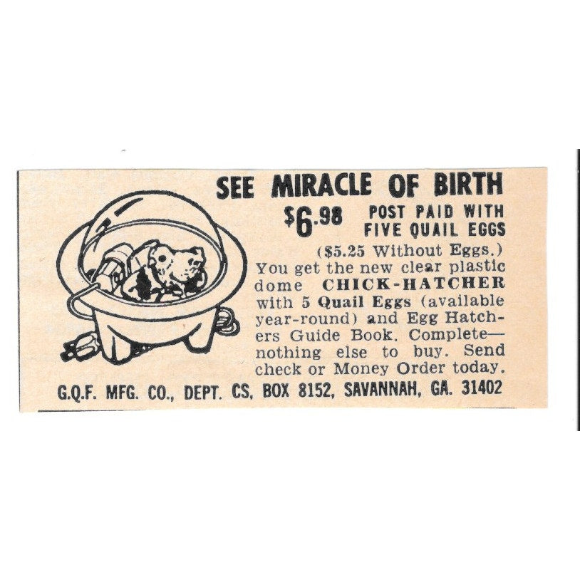 Clear Dome Chick-Hatcher G.Q.F. Mfg Co Savannah GA 1977 Ad AF6-S2