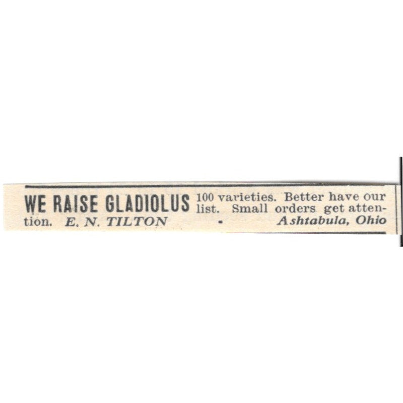 E.N. Tilton Gladiolus Ashtabula Ohio 1924 Ad AG3-S7