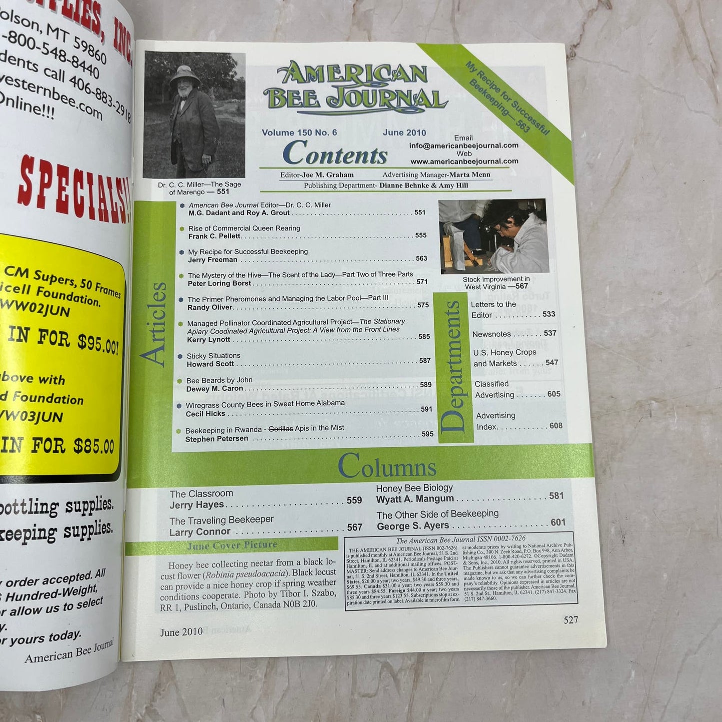 2010 June - American Bee Journal Magazine - Bees Beekeeping Honey M9