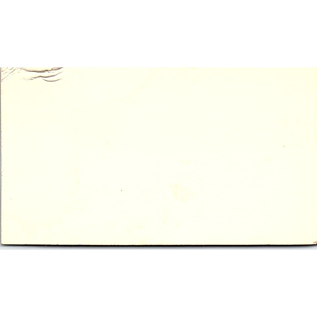 Lee Thi-Hoc-Ly Mar Caribe Fish Market Houston Vintage Business Card SD9-B6