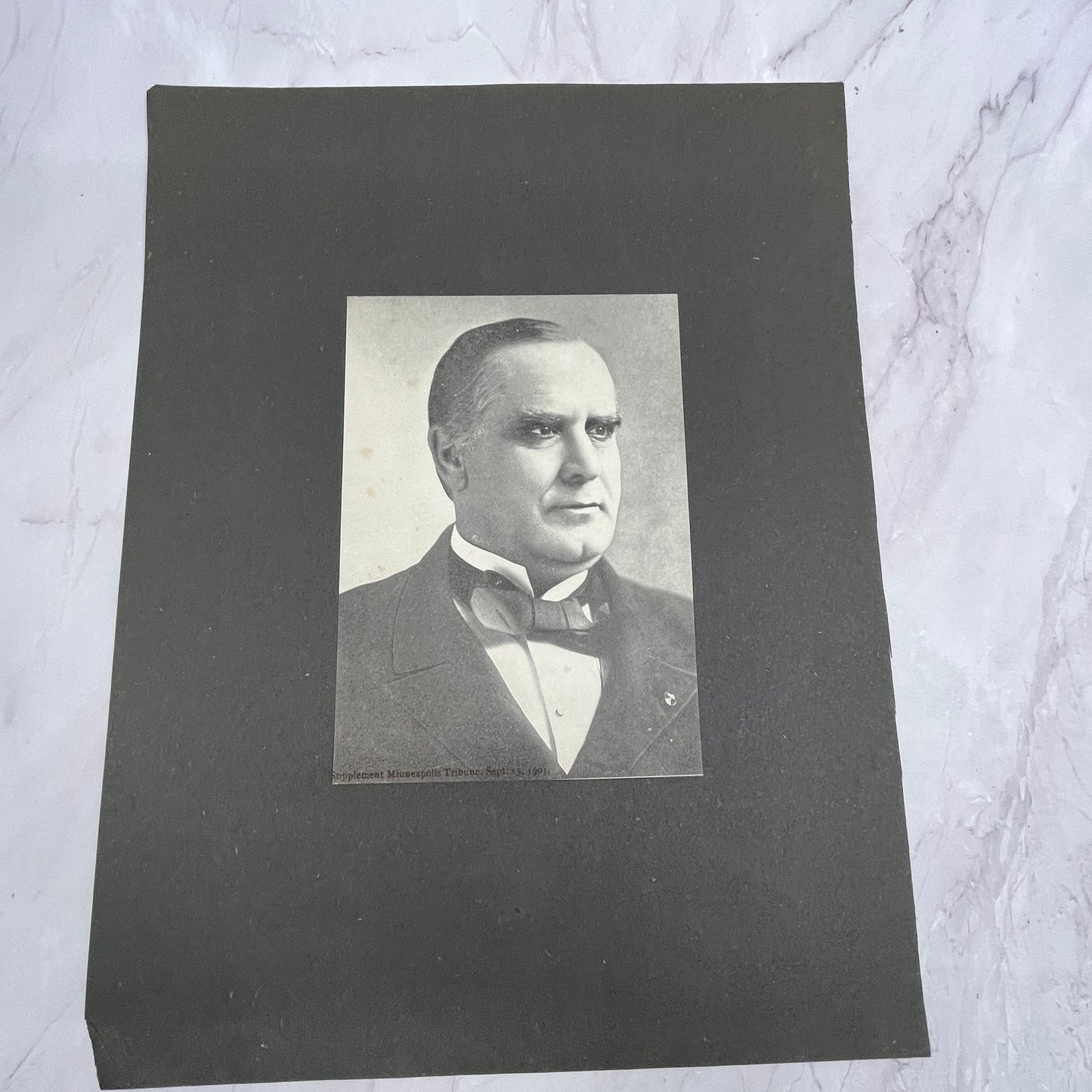 William McKinley Portrait 11x14" Art Print V21