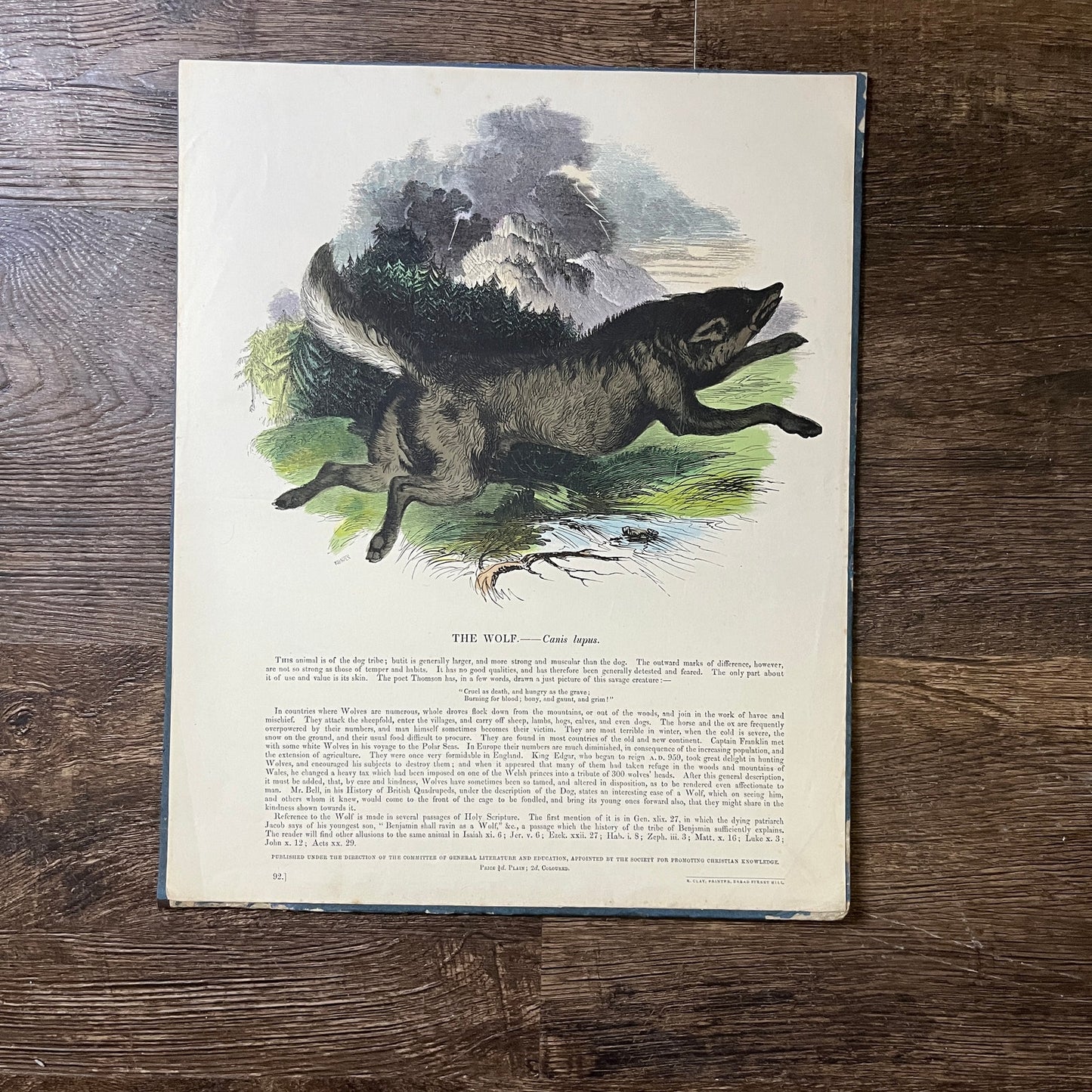 1843 The Wolf Tinted Engraving Society Promoting Christian Knowledge 11x15 V3