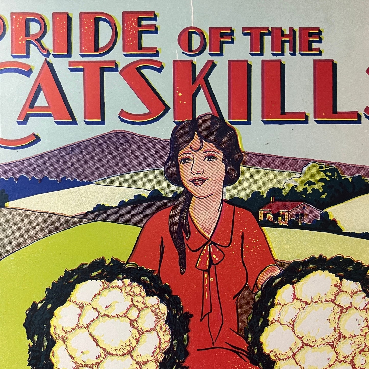 Original 1920 Cauliflower Label Pride Of The Catskills Walton-Hamden NY 10x11 V6