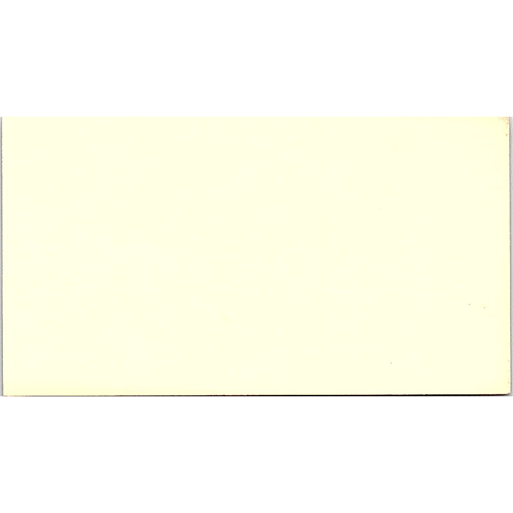 Comptroller's Department Dianne Phipps Houston TX Vintage Business Card SF3-B3