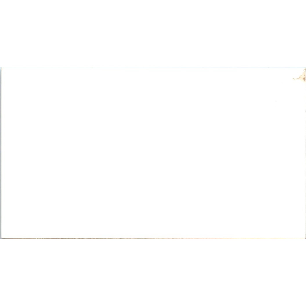 Mary Stark Schwab Perma-Stamp Houston TX Vintage Business Card SE3-B5