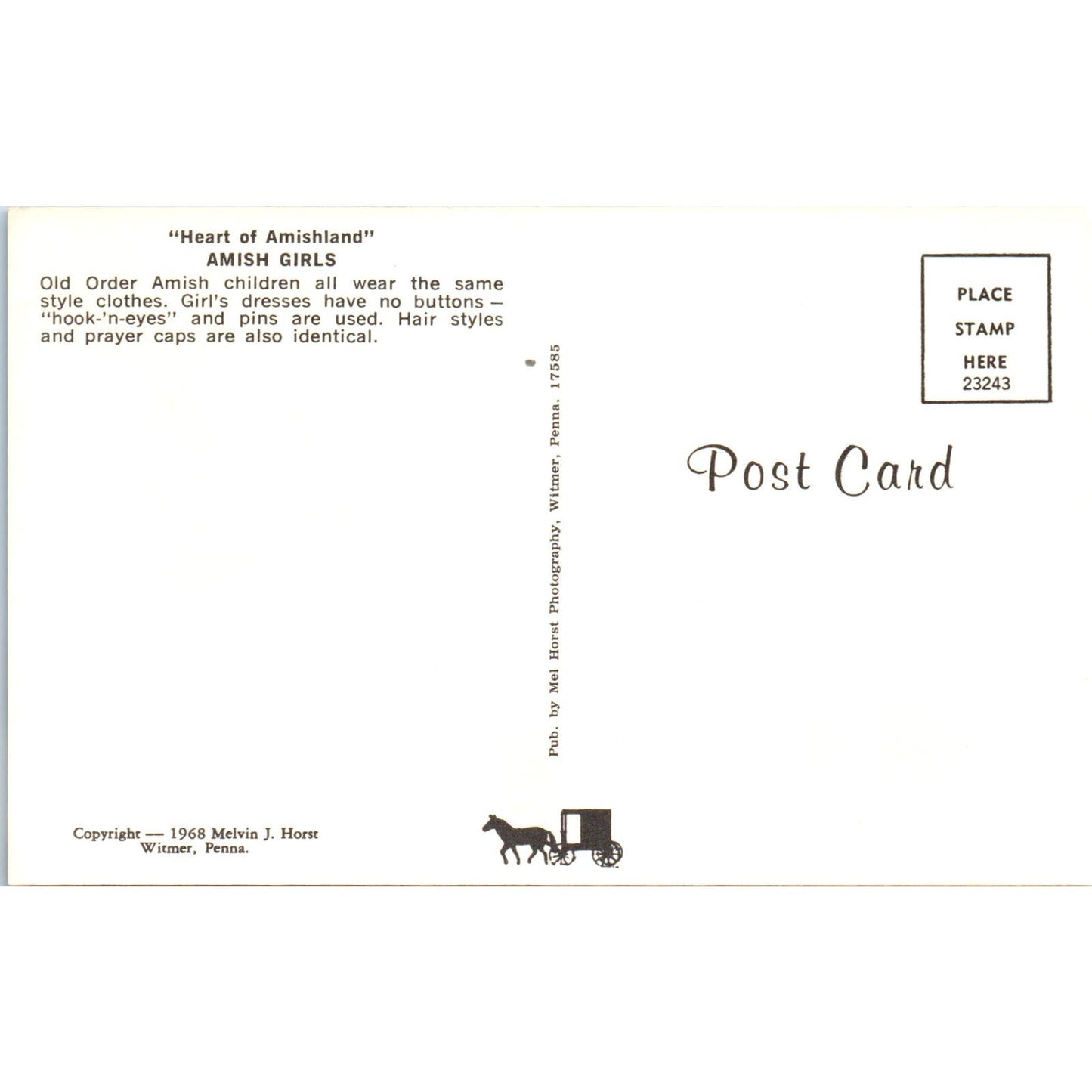 Amish Girls Hook-N-Eyes Dresses Pennsylvania Dutch Country Postcard PD7