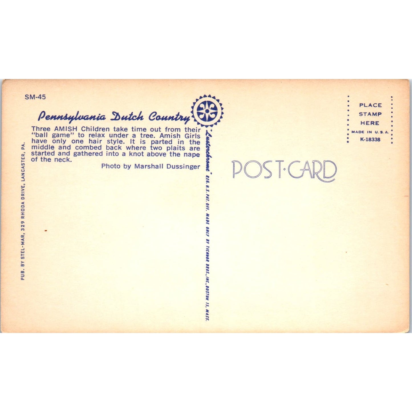 Three Amish Boys Relax Under a Tree PA Dutch Vintage Postcard PD4