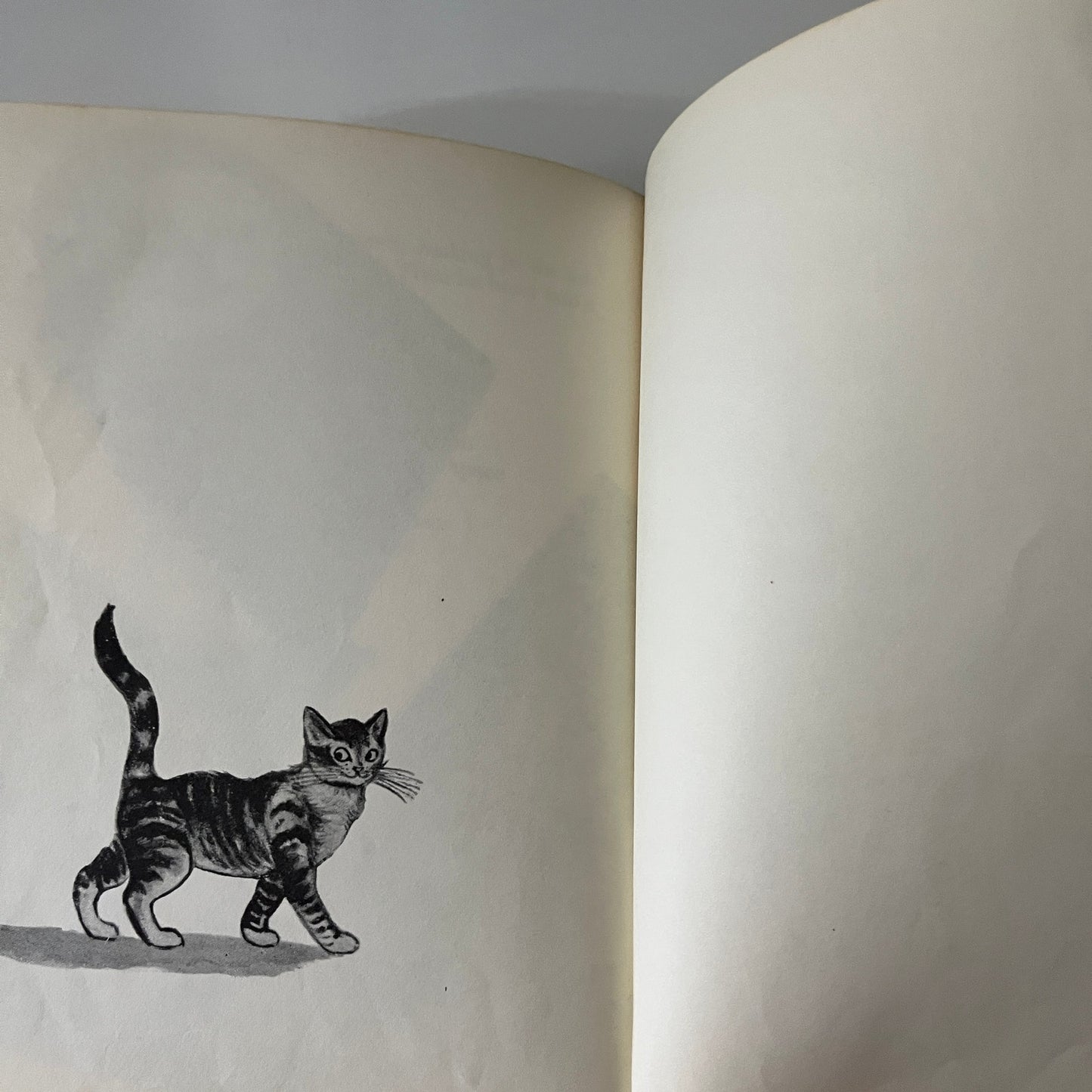 Vintage 1952 SPACE CAT by Ruthven Todd Hardcover Paul Galdone TK3