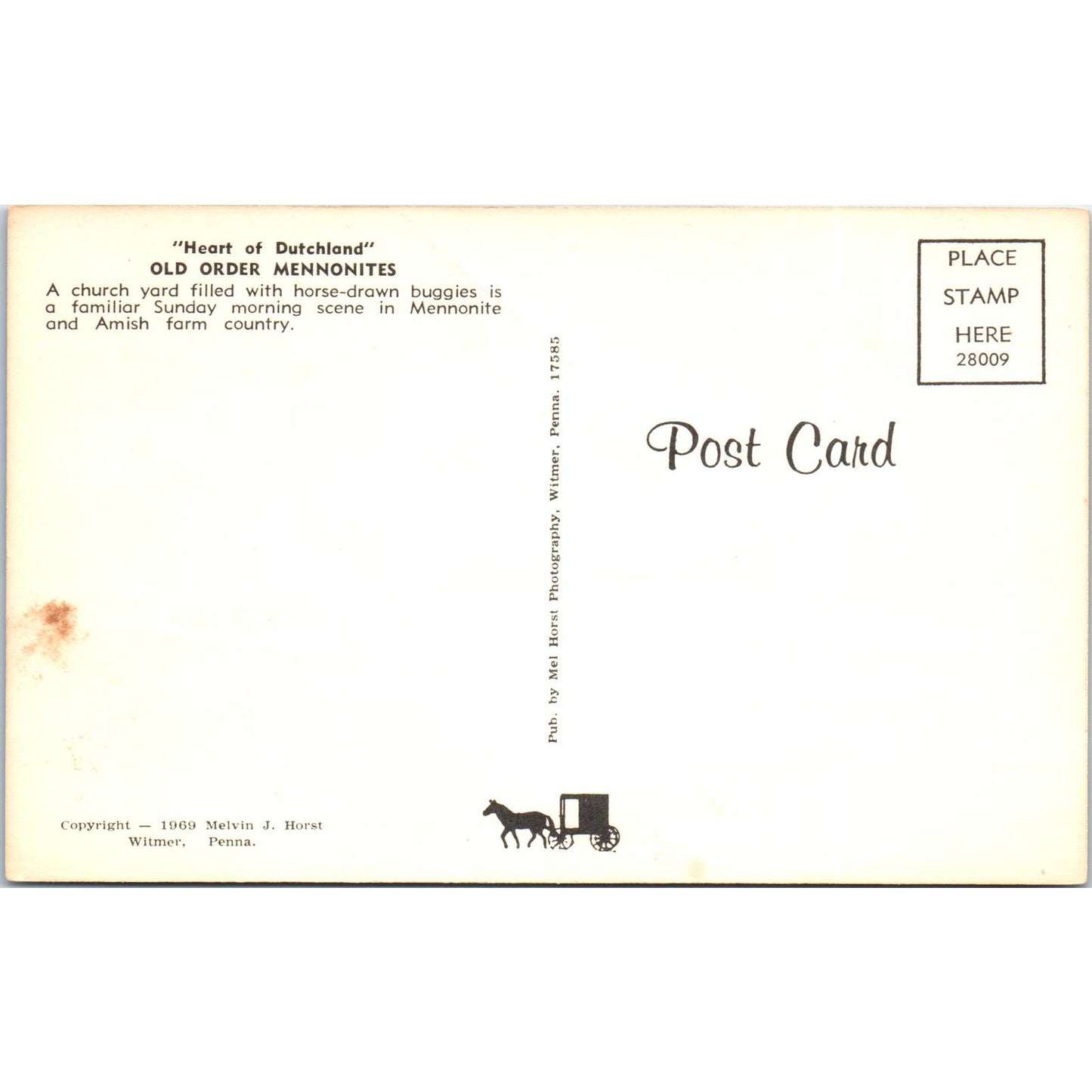 Mennonite Church Yard w/ Buggies Pennsylvania Dutch Country Vintage Postcard PD5