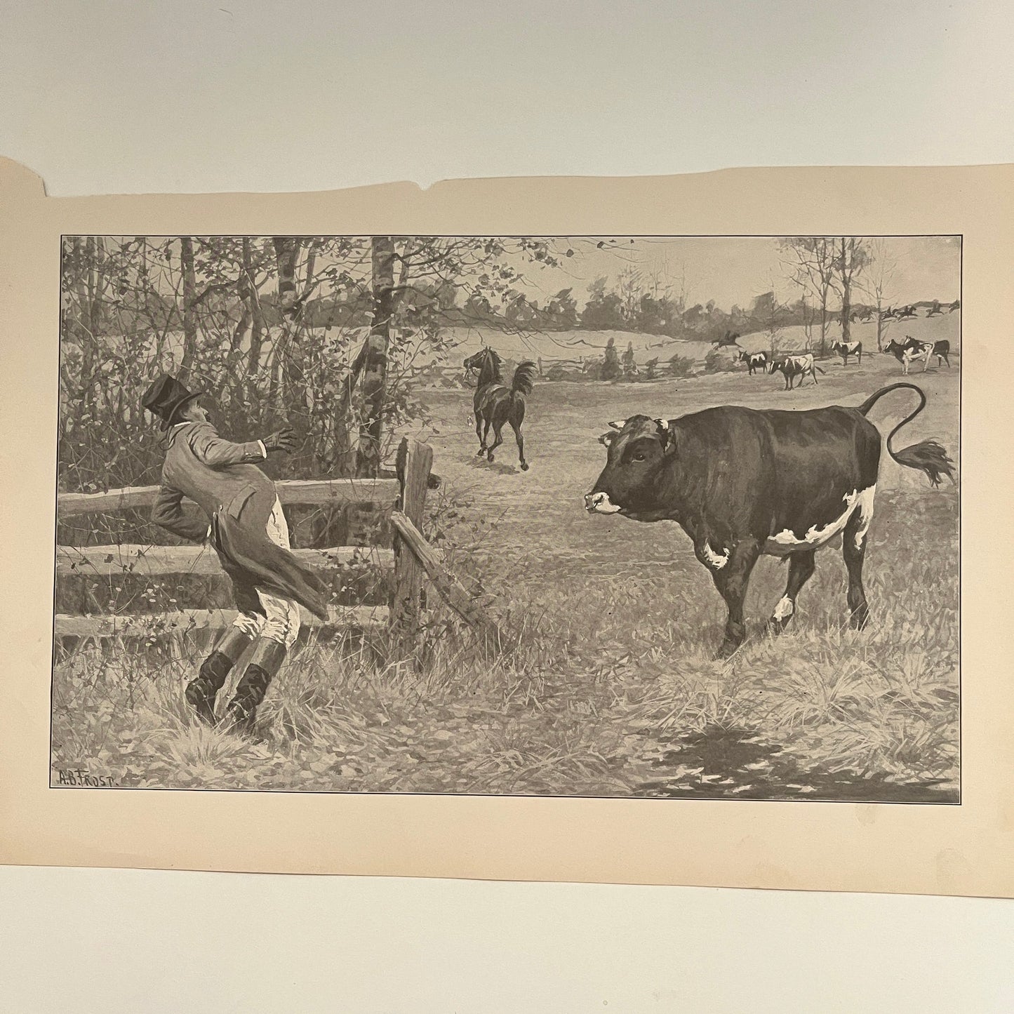 When a Red Coat is Embarrassing - Dressage Scene 1904 A.B. Frost Art Print V26-4