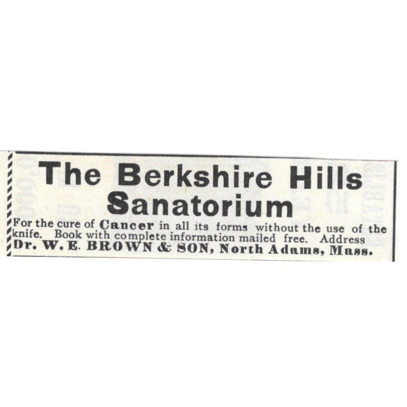 The Berkshire Hills Sanitorium W.E. Brown & Son North Adam MA 1892 Ad AG2-S24