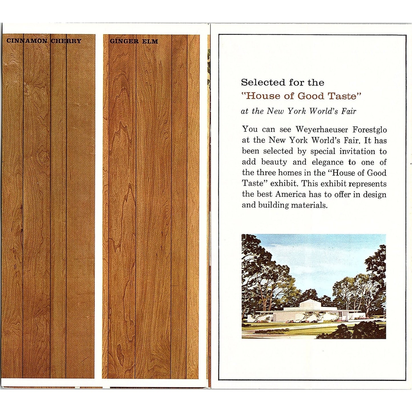Weyerhaeuser Forestglo Hardwood Paneling 1965 Tacoma WA Vintage Brochure AG5-H3